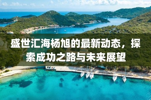 盛世汇海杨旭的最新动态，探索成功之路与未来展望