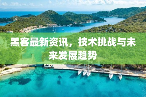 黑客最新资讯，技术挑战与未来发展趋势