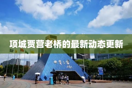项城贾营老桥的最新动态更新