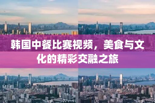 韩国中餐比赛视频，美食与文化的精彩交融之旅