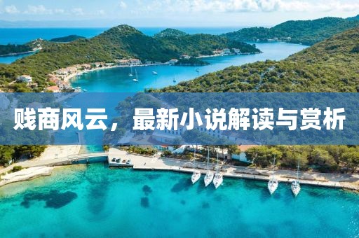 贱商风云，最新小说解读与赏析