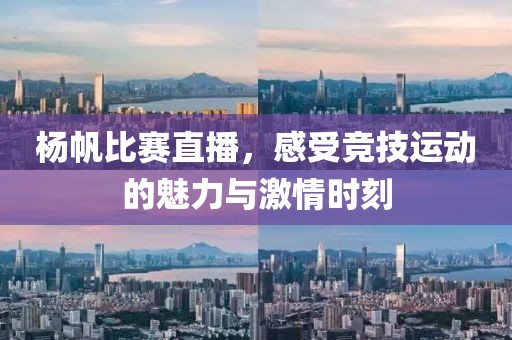 杨帆比赛直播，感受竞技运动的魅力与激情时刻