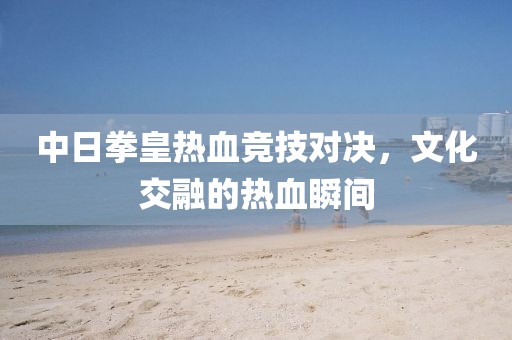 中日拳皇热血竞技对决，文化交融的热血瞬间