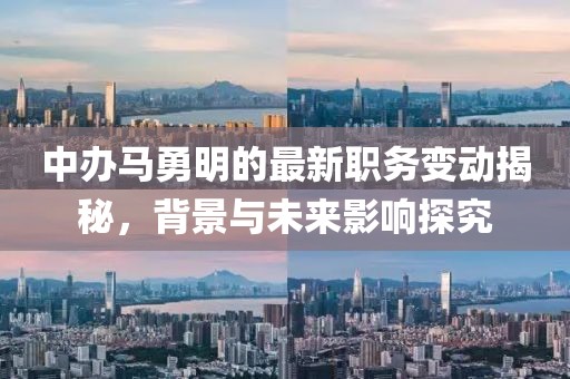 中办马勇明的最新职务变动揭秘，背景与未来影响探究