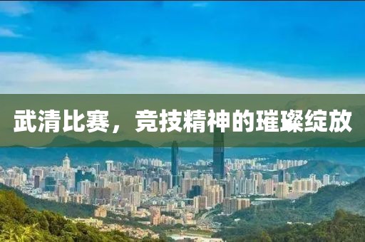 武清比赛，竞技精神的璀璨绽放