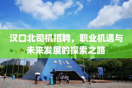 汉口北司机招聘，职业机遇与未来发展的探索之路