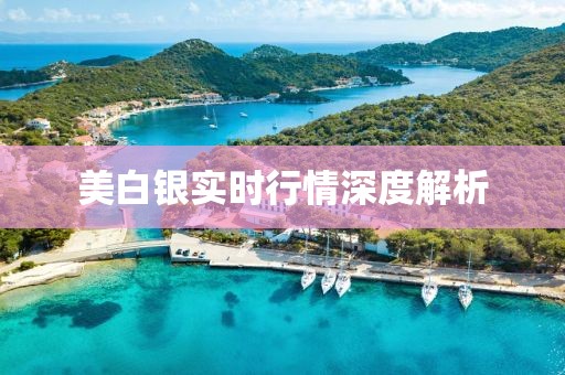 美白银实时行情深度解析