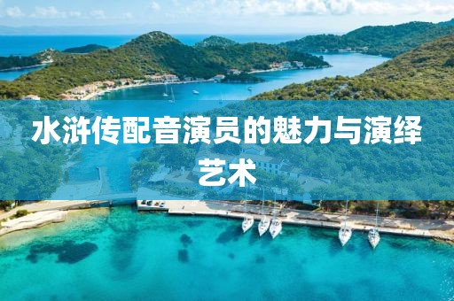 水浒传配音演员的魅力与演绎艺术