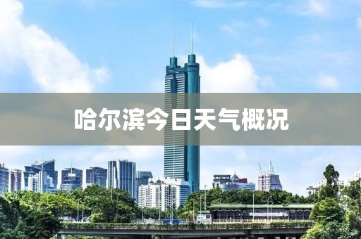 哈尔滨今日天气概况