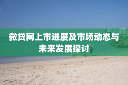 微贷网上市进展及市场动态与未来发展探讨