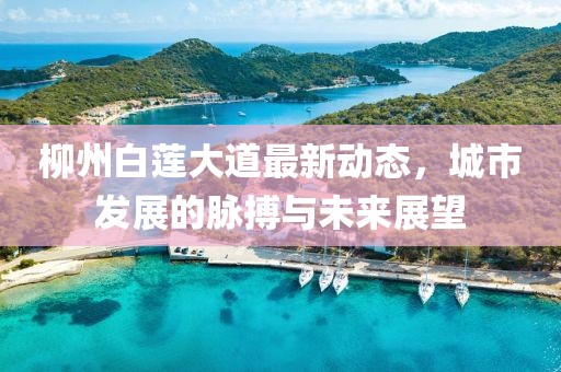 柳州白莲大道最新动态，城市发展的脉搏与未来展望