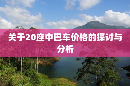关于20座中巴车价格的探讨与分析