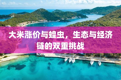 初告白 第421页