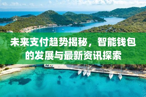 未来支付趋势揭秘，智能钱包的发展与最新资讯探索