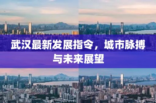 武汉最新发展指令，城市脉搏与未来展望