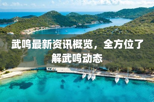 武鸣最新资讯概览，全方位了解武鸣动态