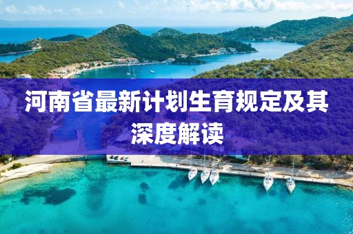 河南省最新计划生育规定及其深度解读