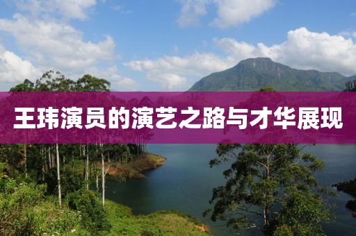 王玮演员的演艺之路与才华展现