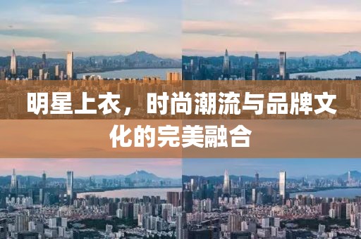 明星上衣，时尚潮流与品牌文化的完美融合