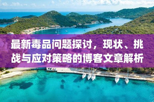 最新毒品问题探讨，现状、挑战与应对策略的博客文章解析