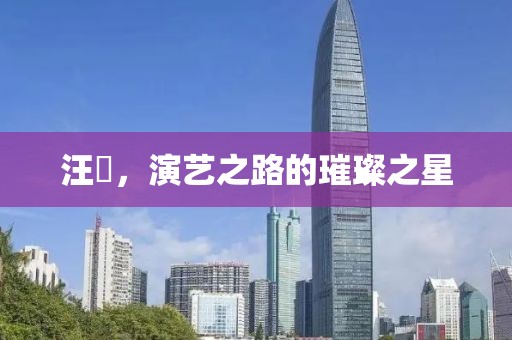汪飏，演艺之路的璀璨之星