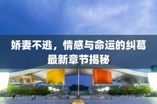 娇妻不逃，情感与命运的纠葛最新章节揭秘
