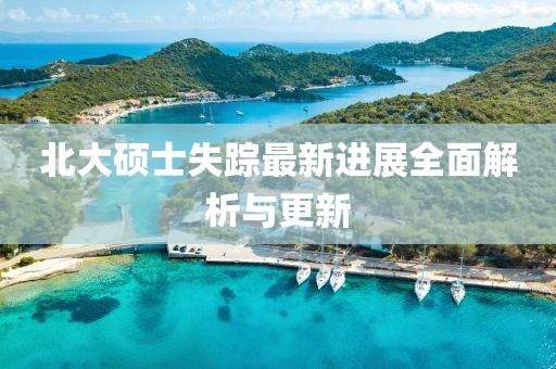 盛以珊 第4页