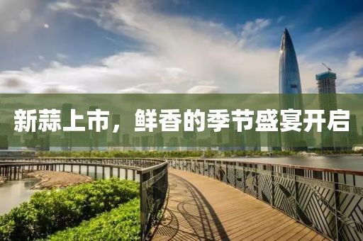 新蒜上市，鲜香的季节盛宴开启