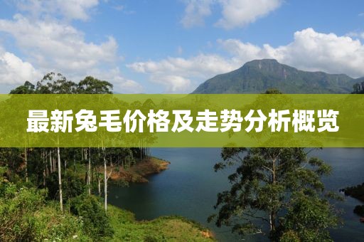 最新兔毛价格及走势分析概览