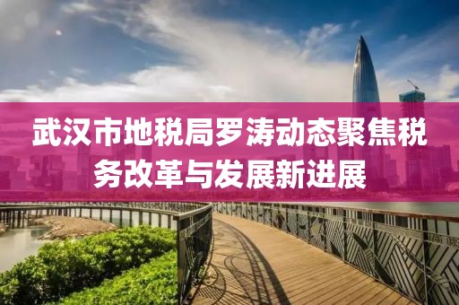 武汉市地税局罗涛动态聚焦税务改革与发展新进展