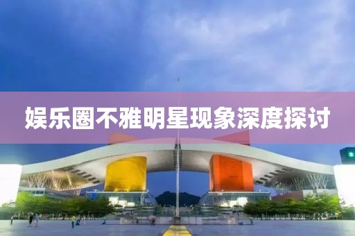 娱乐圈不雅明星现象深度探讨