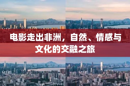 电影走出非洲，自然、情感与文化的交融之旅