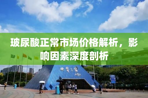 玻尿酸正常市场价格解析，影响因素深度剖析
