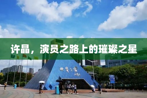 许晶，演员之路上的璀璨之星