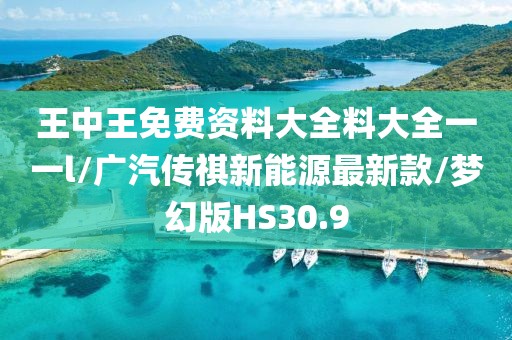 王中王免费资料大全料大全一一l/广汽传祺新能源最新款/梦幻版HS30.9