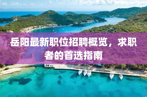 岳阳最新职位招聘概览，求职者的首选指南
