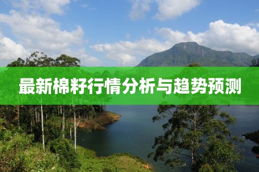 最新棉籽行情分析与趋势预测