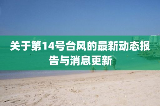 关于第14号台风的最新动态报告与消息更新