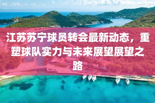 江苏苏宁球员转会最新动态，重塑球队实力与未来展望展望之路