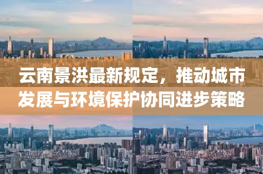 云南景洪最新规定，推动城市发展与环境保护协同进步策略