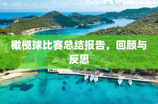 橄榄球比赛总结报告，回顾与反思