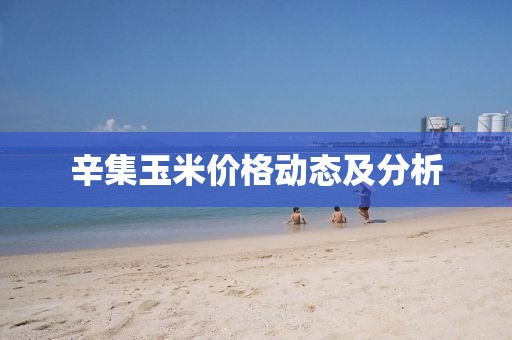 辛集玉米价格动态及分析