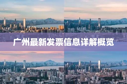 广州最新发票信息详解概览