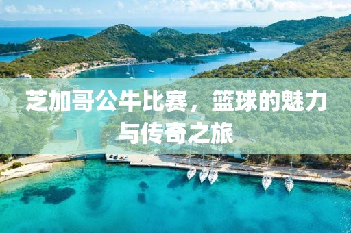 芝加哥公牛比赛，篮球的魅力与传奇之旅