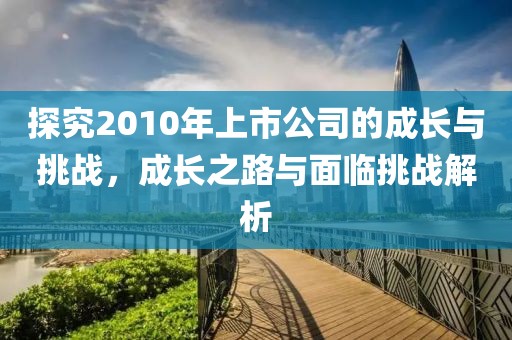 探究2010年上市公司的成长与挑战，成长之路与面临挑战解析