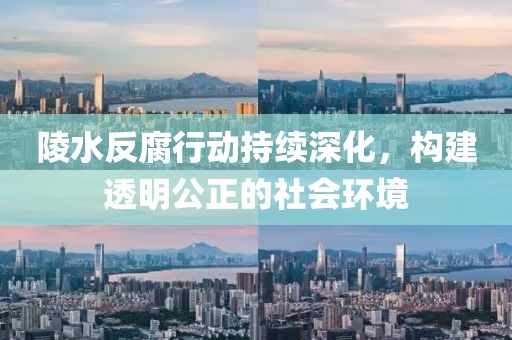 陵水反腐行动持续深化，构建透明公正的社会环境