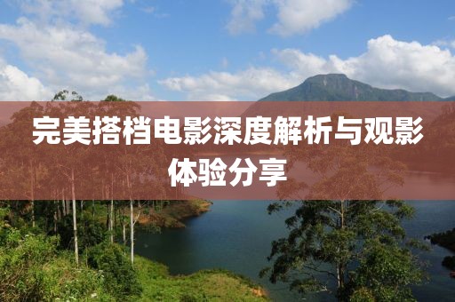 完美搭档电影深度解析与观影体验分享