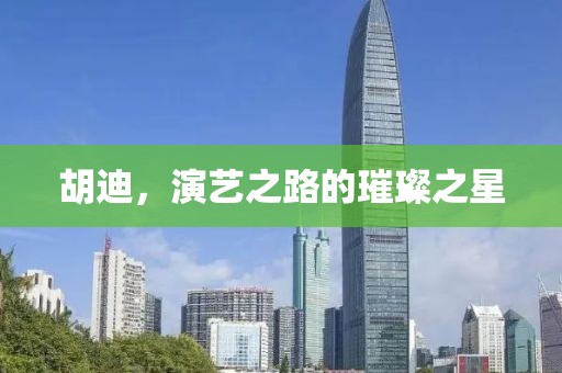 胡迪，演艺之路的璀璨之星