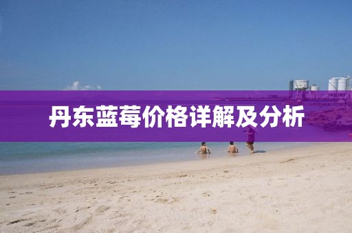 丹东蓝莓价格详解及分析
