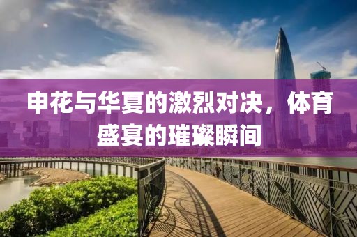 申花与华夏的激烈对决，体育盛宴的璀璨瞬间